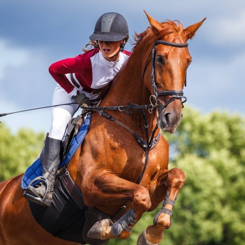 Close,Up,Portrait,Of,Young,Jockey,Girl,Leaping,Over,Obstacle Close,Up,Portrait,Of,Young,Jockey,Girl,Leaping,Over,Obstacle